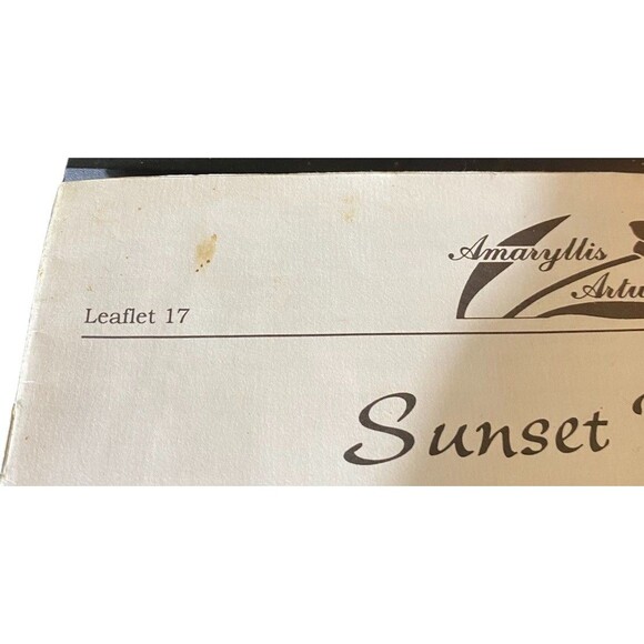 Sunset Desert Cross Stitch Leaflet 17 Mandala Series 1 Amaryllis Artworks - Picture 3 of 10